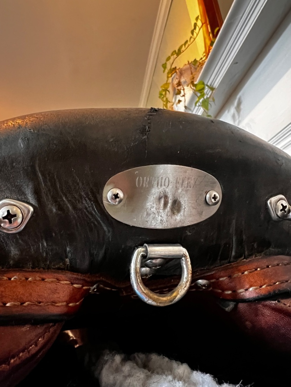 Orthoflex cutback endurance saddle - Picture 11 of 11